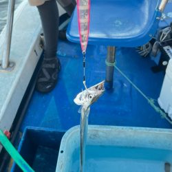 タチウオ/ジギング・テンヤ