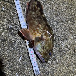 久しぶりのライトワインド