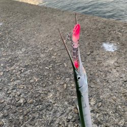 あたりは多数も・・・