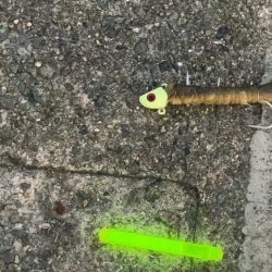 タチウオ爆釣!?