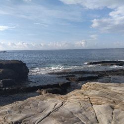 サラシ打ちは不発…