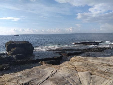 サラシ打ちは不発…