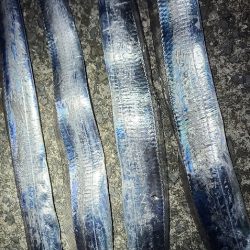 ゆうマヅメは無かったような？