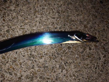 連敗脱出タチウオテンヤ🎣