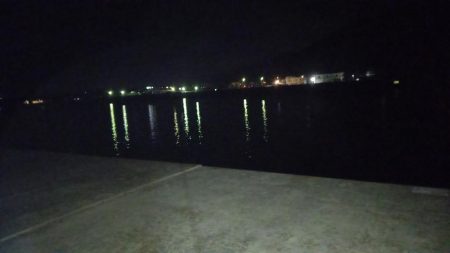 真夜中の時合いでタチウオ高活性