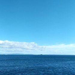 そろそろ終了？