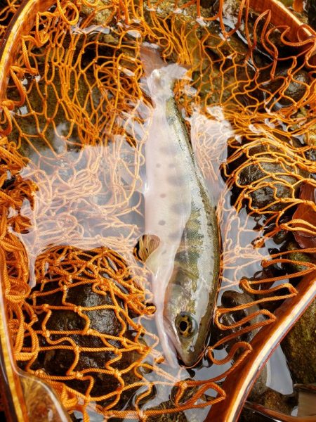 シーズンラストとなるので気合い入れて攻めた…