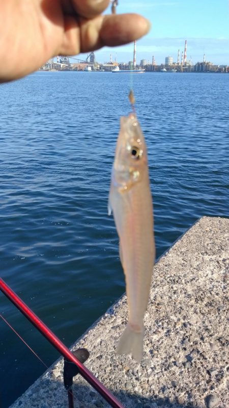 播磨新島釣行31