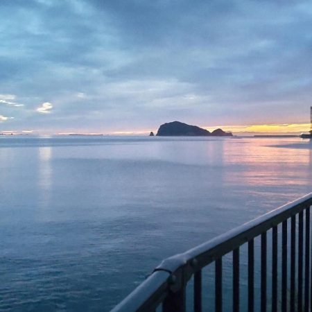 根魚探し@南紀~中紀