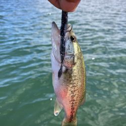 3連休最終日 秋バス