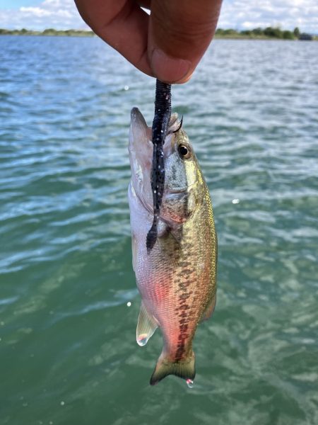 3連休最終日 秋バス