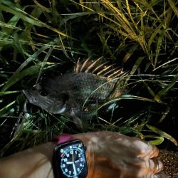 アーバンチニング⑥