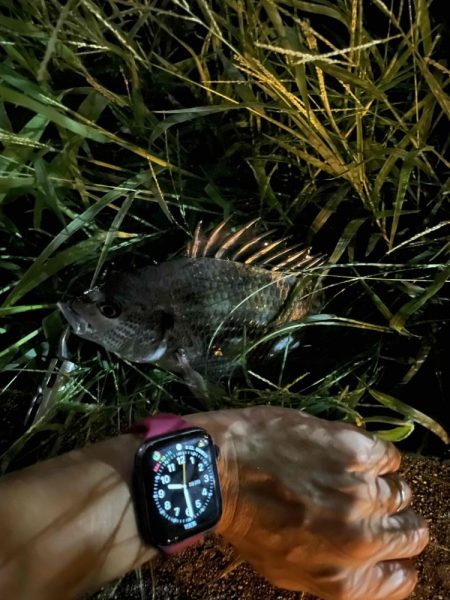 アーバンチニング⑥