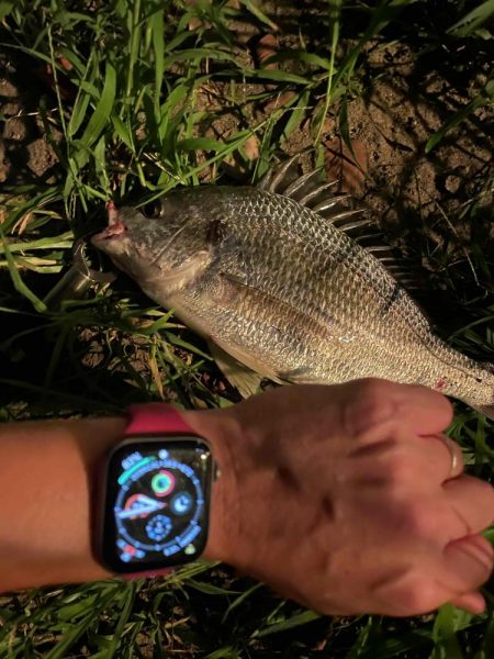 アーバンチニング⑦ シルバーウルフデビュー