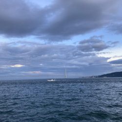 9ヶ月ぶりのご対面!