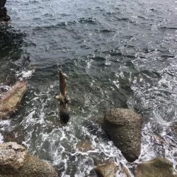 エギング 佐渡遠征②1日目