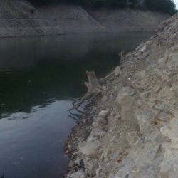 夏の戻り？バス