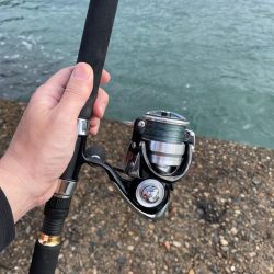 ライトショアジギング楽しい!