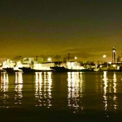 秋のチニングは絶好調!