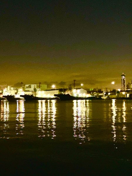 秋のチニングは絶好調!