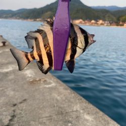 養老リベンジ…ならず