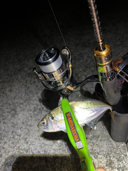 8月ラストアジング