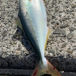 朝マズメには縁がない