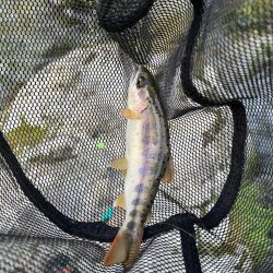 仕事終わりに滑り込み