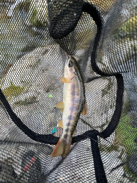 仕事終わりに滑り込み