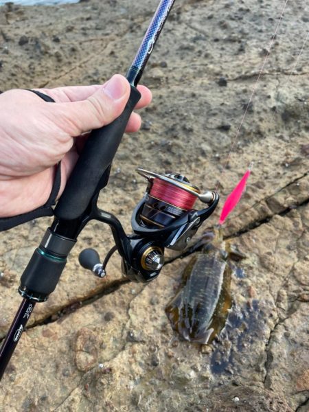 本格的にシーズンイン