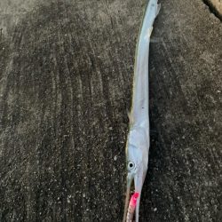 チヌトップはいつまで?