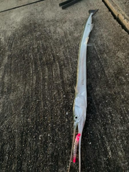 チヌトップはいつまで?