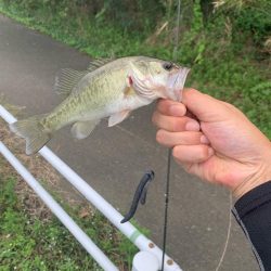晴れてるので、バス釣り行った‼️