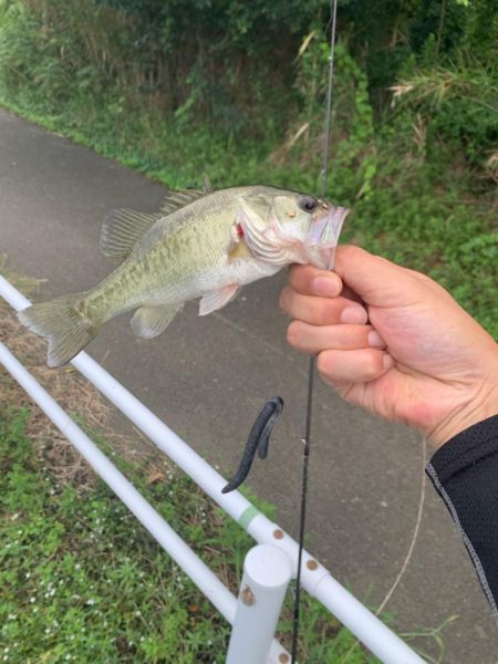 晴れてるので、バス釣り行った‼️