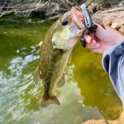 とっくに秋色🍂