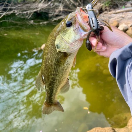 とっくに秋色🍂