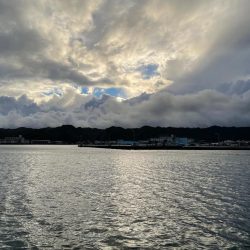 ロックフィッシュ!