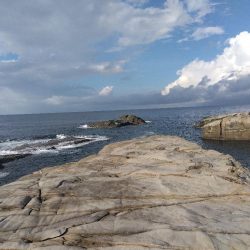 サラシ打ちは不発…