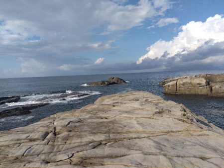 サラシ打ちは不発…