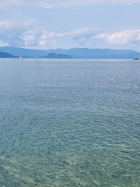 久しぶりの投稿