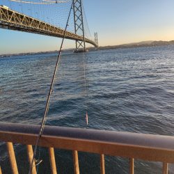 ショアジキシーズンイン!