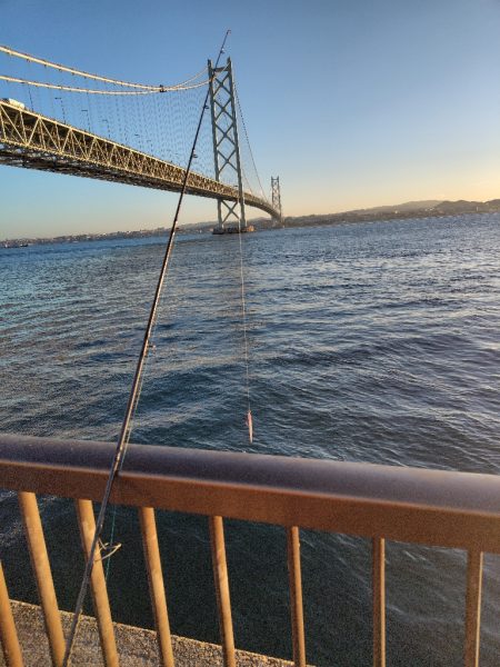 ショアジキシーズンイン!