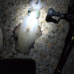 障泥5杯、甲1杯