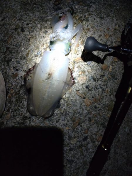 障泥5杯、甲1杯