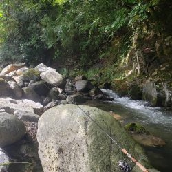 台風荒れに期待したが、、