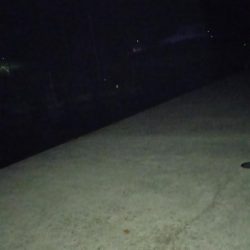 真夜中の時合いでタチウオ高活性