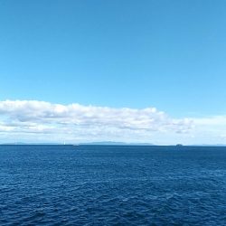 そろそろ終了？