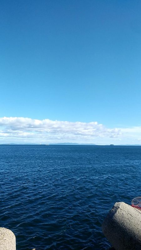 そろそろ終了？