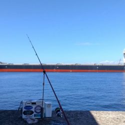 播磨新島釣行31