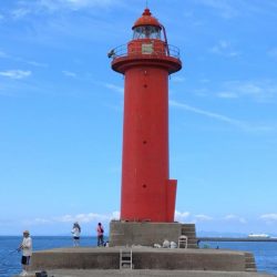 播磨新島釣行33